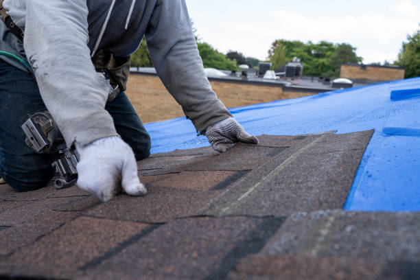 Best Roof Maintenance Services  in Arma, KS
